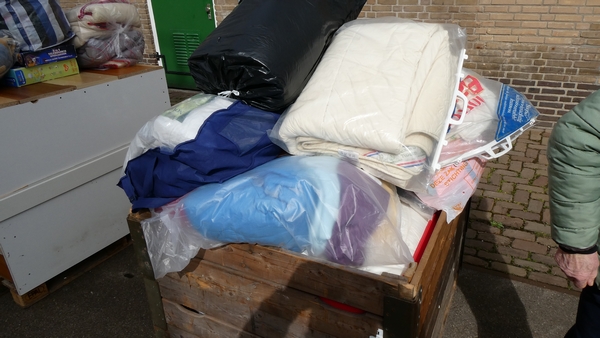 tn_P1019202
